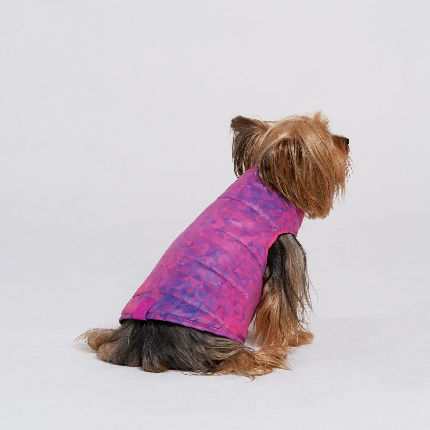 DualRainbow Jacket