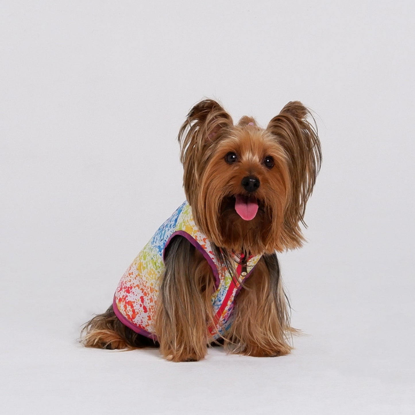 DualRainbow Jacket