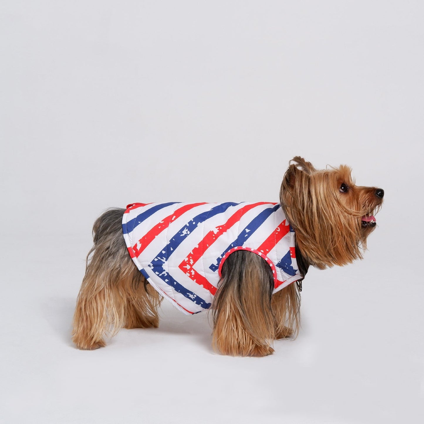 American Stars Jacket