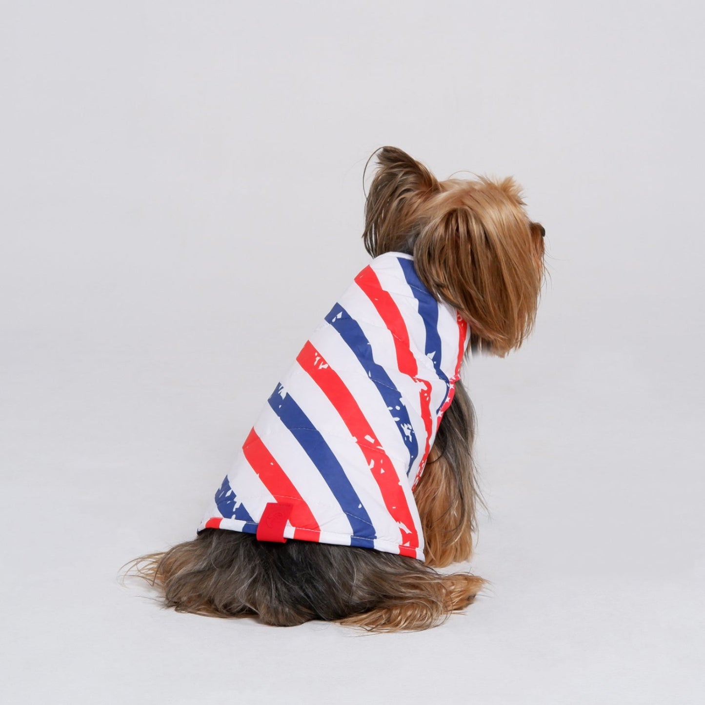 American Stars Jacket