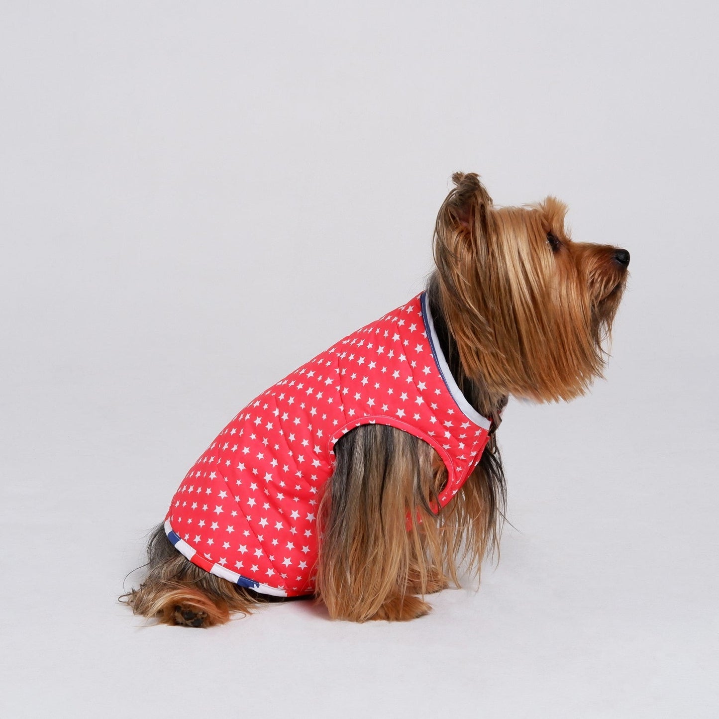 American Stars Jacket