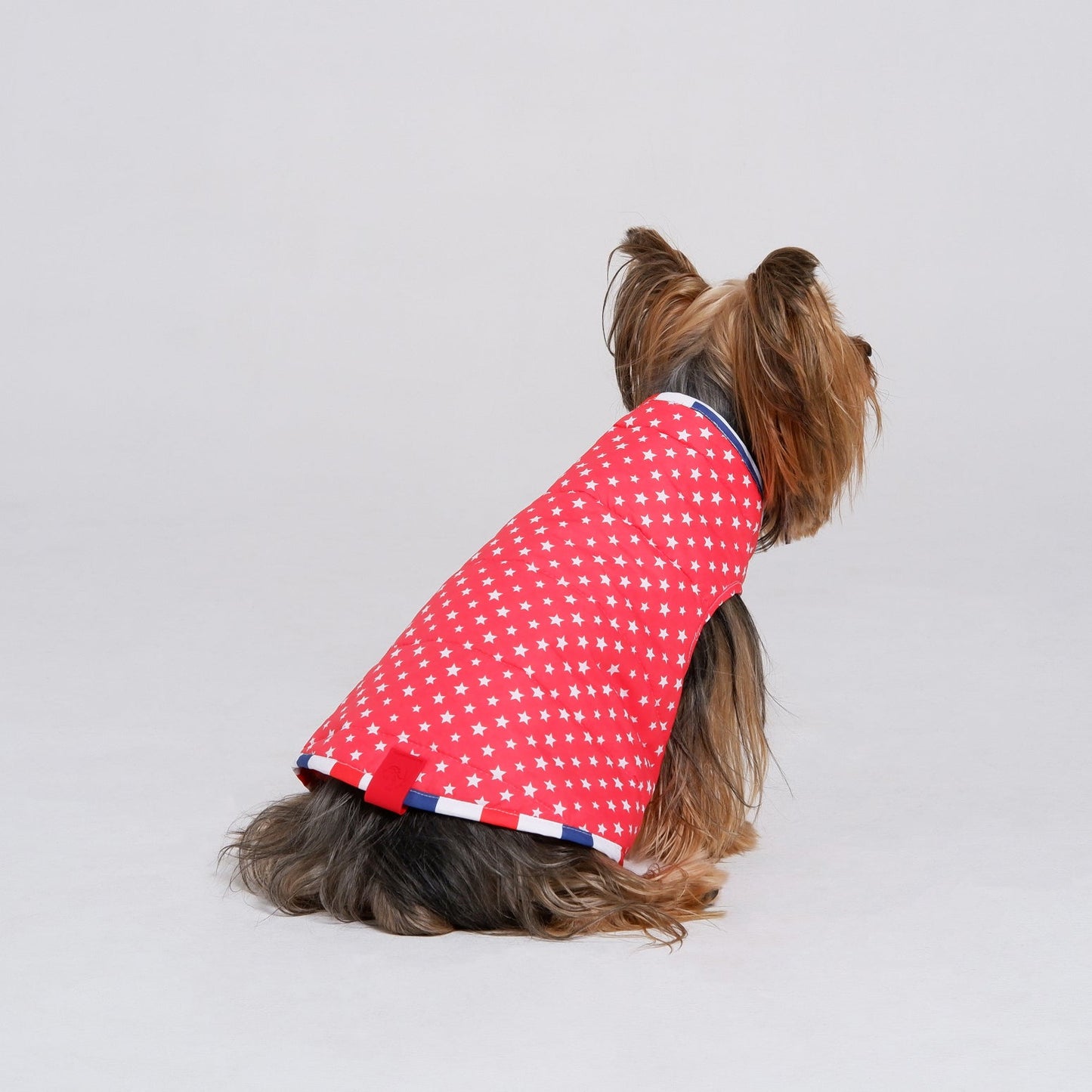 American Stars Jacket