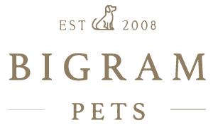 Bigram USA