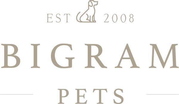 Bigram USA