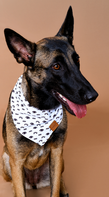 Black ‘Little Eyes’ Bandana
