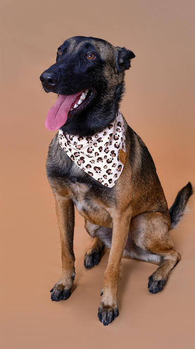 Beige Animal Print Pet Bandana