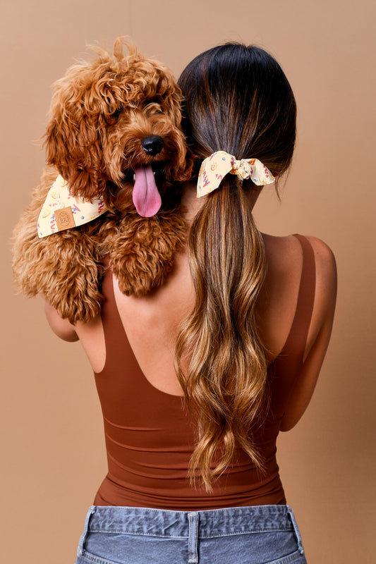 Yellow Pet Bandana
