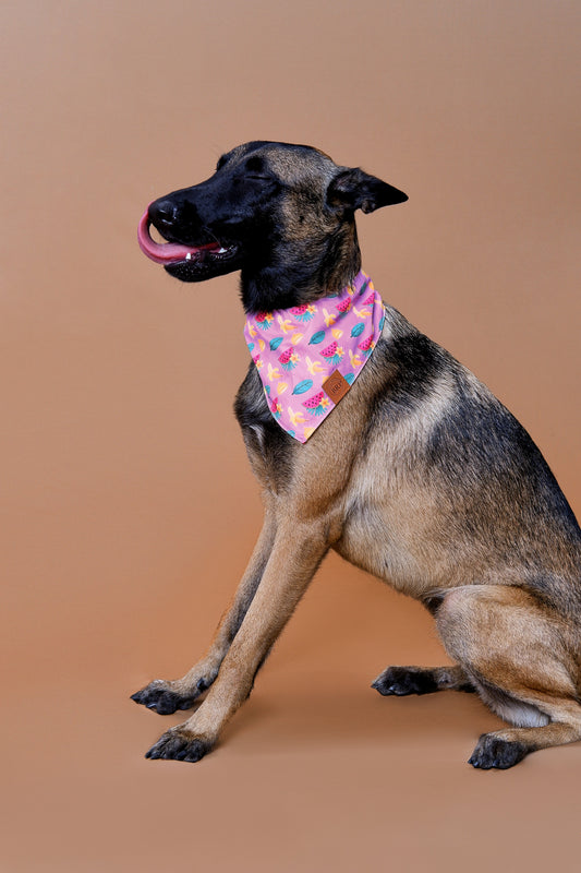 Pink Pet Bandana