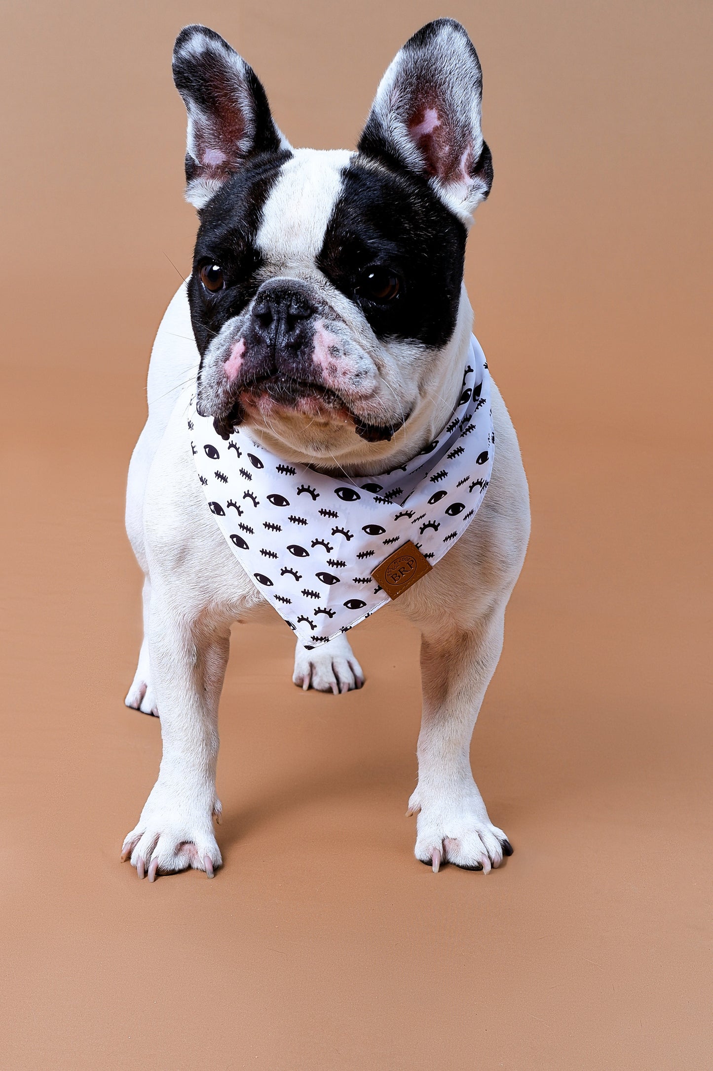 Black ‘Little Eyes’ Bandana