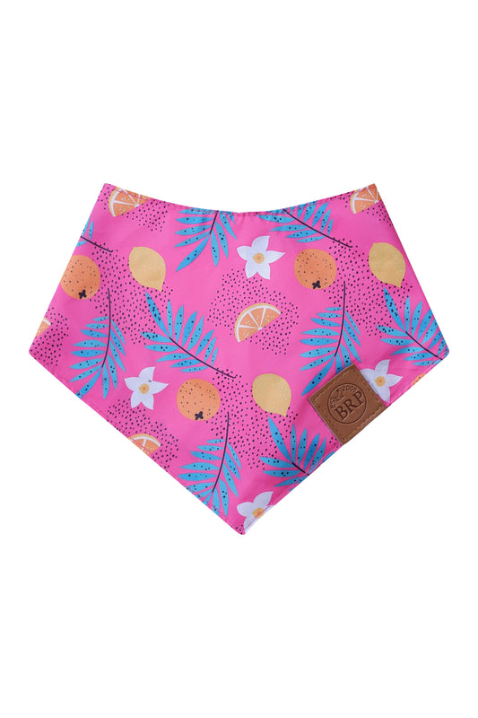 Fuchsia Pet Bandana
