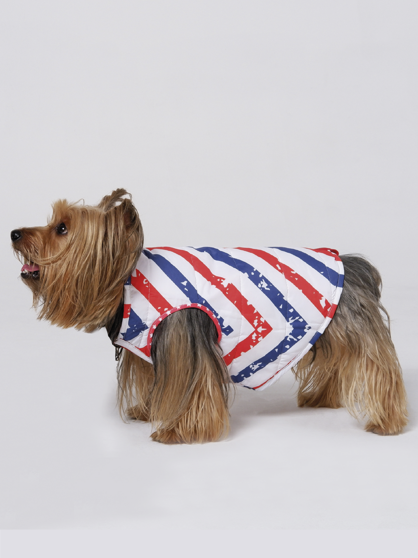 American Stars Jacket