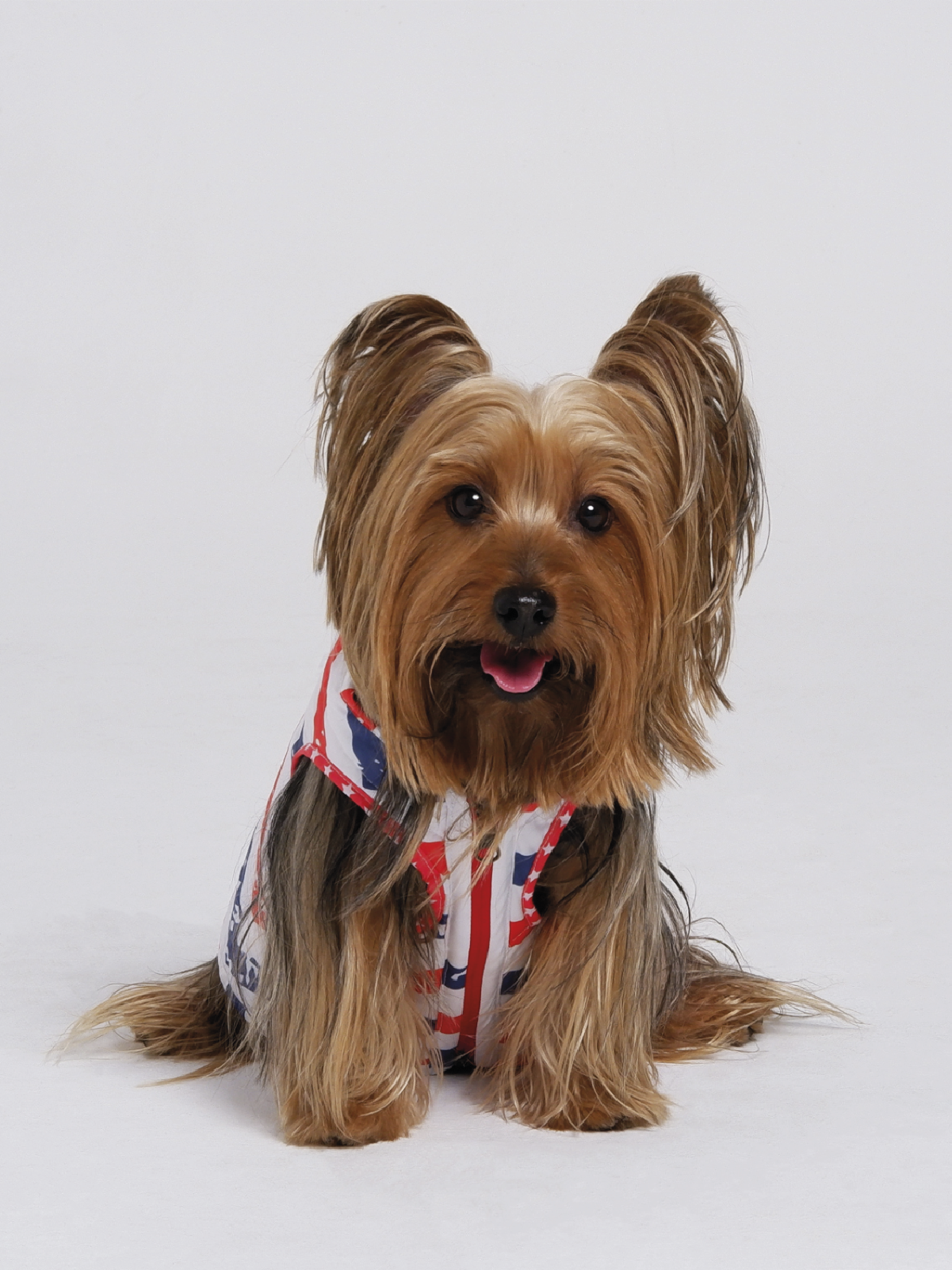 American Stars Jacket